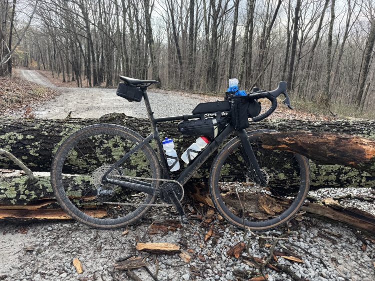 Downed tree covering the trail with a mudy black cyclocross bike leaning against it