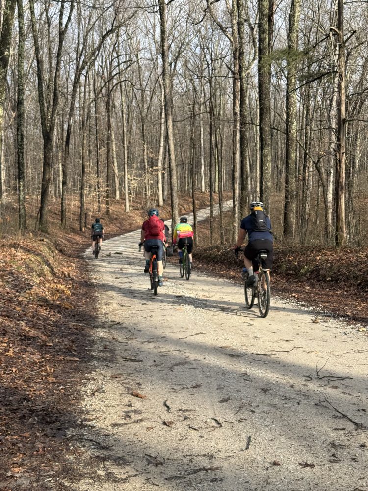 4 cyclists pedaling down a leaf covered gravel trail around a bend